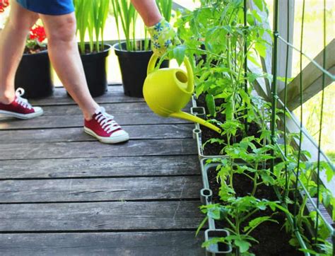 How To Water Plants On A Balcony Important Tips Balcony Boss