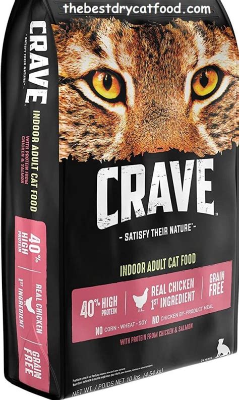 Best Grain Free Dry Cat Food 2024 | Latest Reviews Never Seen Before