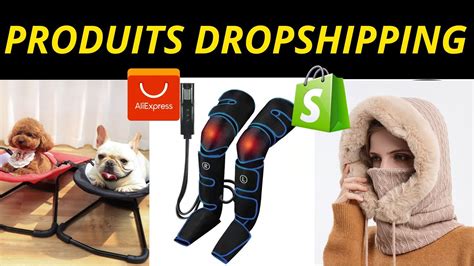 Top Produits Gagnants Dropshipping Novembre Niches Tendances