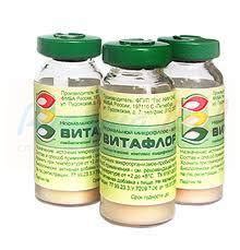ВИТАФЛОР пробиотик (VITAFLOR probiotic) | Поиск, резервирование ...