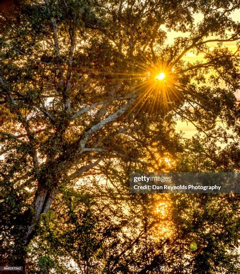 Smoky Mountain Sunrise High-Res Stock Photo - Getty Images