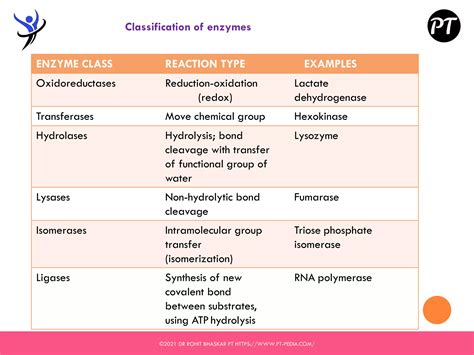 Enzymes Structure Classification And Function Dr Rohit Bhaskar