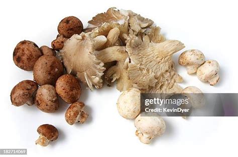 868 Cremini Mushrooms Stock Photos, High-Res Pictures, and Images