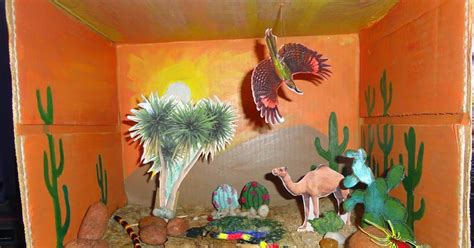 Desert diorama | Desert diorama, Ecosystems projects, Desert crafts