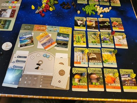 Test Du Jeu De Soci T Earth Lucky Duck Games Le Blog De Guillaume