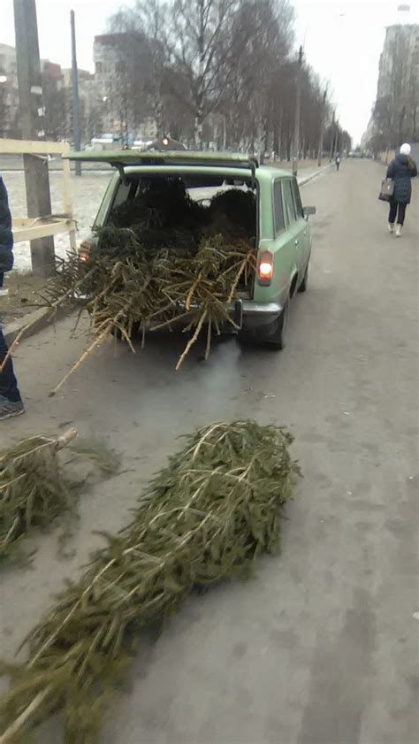 Гулять так гулять!!! | Пикабу