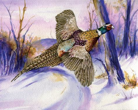 Pheasant Watercolor Hunting Wildlife Art Fathers Etsy