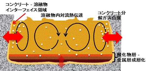軽水炉の重大事故時における不確実さの大きな物理化学現象に係る解析コードの開発（平成29年度～令和4年度）｜原子力規制委員会