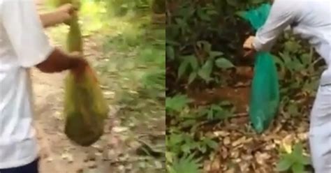 Tranh cãi gay gắt clip thả rắn độc phóng sinh làm từ thiện