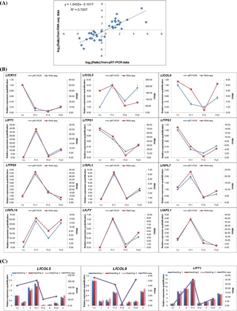 Coefficient Analysis Of Fold Change Data Between QRT PCR And RNA Seq A