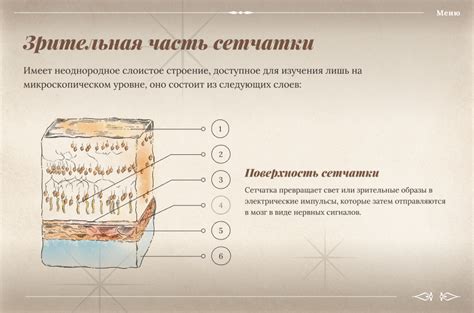 Bausch + Lomb «Витамины для глаз» - ЦРММ