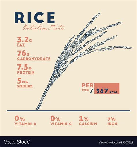 Health benefits of rice nutrition facts Royalty Free Vector