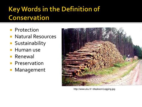 PPT - Environmental Biology PowerPoint Presentation, free download - ID ...