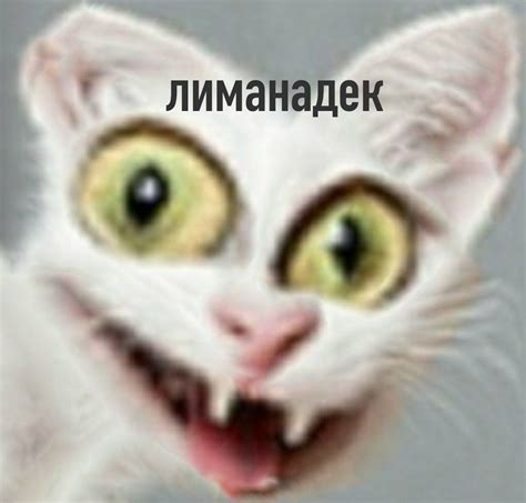 Funny Animal Jokes Funny Animal Pictures Cute Funny Animals Animal