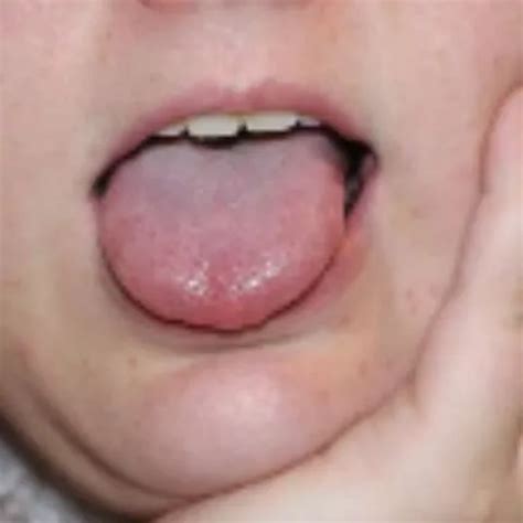 Sloppylynn S Porn Videos And Reels Nude Photos And Bio On XHamster