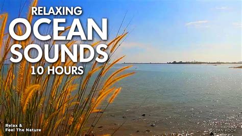 Ocean Sounds For Deep Sleep 10 HOURS Ocean Waves Sounds For Sleep In