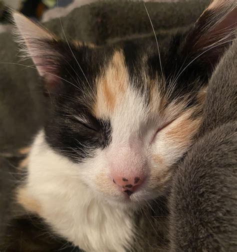 Jacqui Heinrich - We're on air in 2 mins and Sarah Wroblewski has some