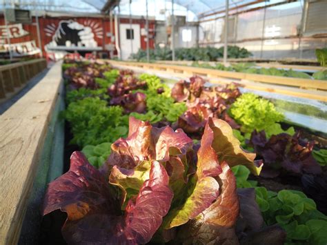 The Market at Eastpoint
