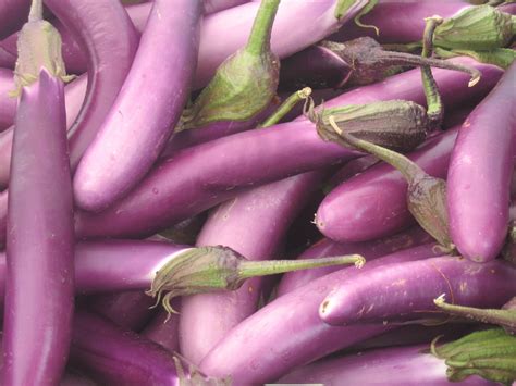 eggplants   purple veggies   photo  freeimages