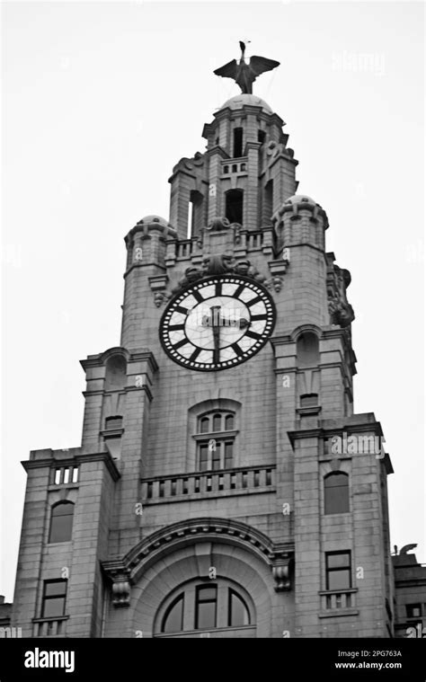 The Liver Building, Liverpool, England Stock Photo - Alamy