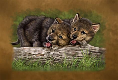 cute wolf pups drawings