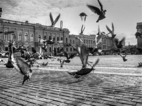 Гайворон. Отдых
