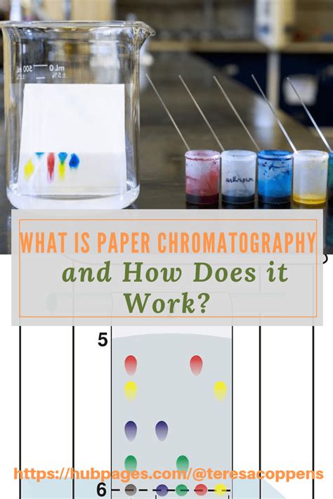 Blog High School Science Fair Projects Elementary Science Activities Elementary Chemistry