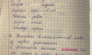 Архивы 8 класс: Хайдарова, Малафеева - Готовые домашние задания (ГДЗ ...