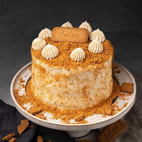 35+ Best Biscoff Recipes From Cakes To Brownies and Cookies, All Made