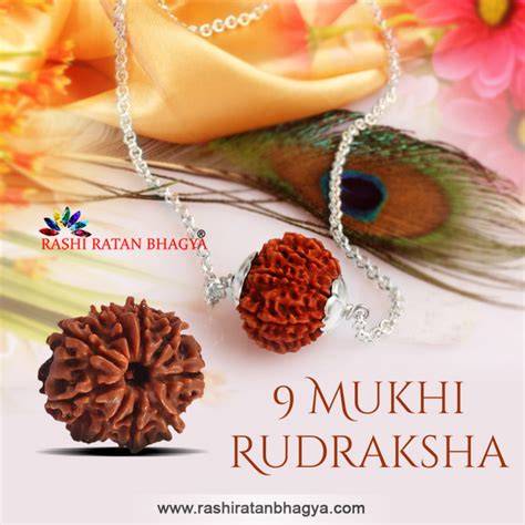 Buy Mukhi Rudraksha From Rashi Ratan Bhagya At Genuine Mukhi