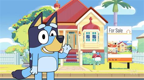 Why Is Bluey Selling Their House? Explained - cr-enviro.com