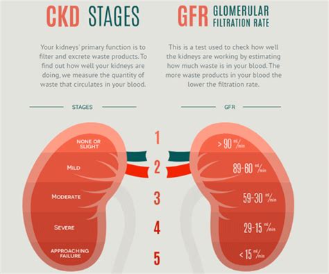 Stages Of Kidney Disease Chart