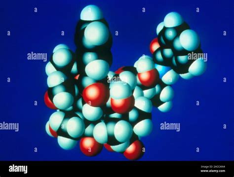 taxol computer graphic   molecule  taxol  promising anti cancer
