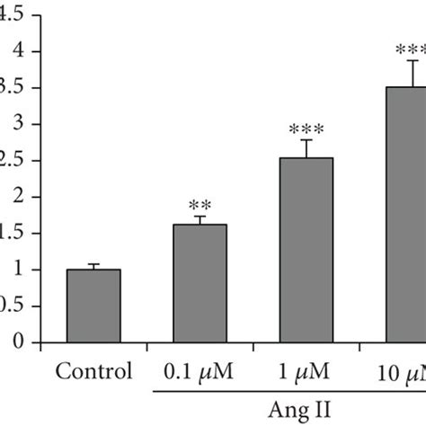 Ginkgolide B Attenuates Ang II Induced Hypertrophy H9c2 Cells Were