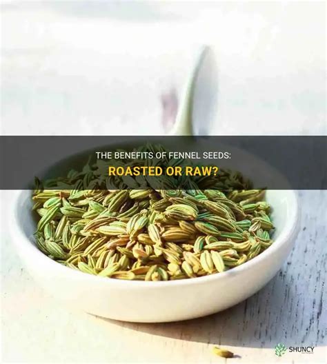 The Benefits Of Fennel Seeds Roasted Or Raw Shuncy