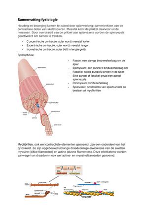 Anatomie En Fysiologie Van De Mens Hoofdstuk Weefsels Menselijk