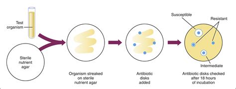 Antibiotic Sensitivity Disc Diffusion Method