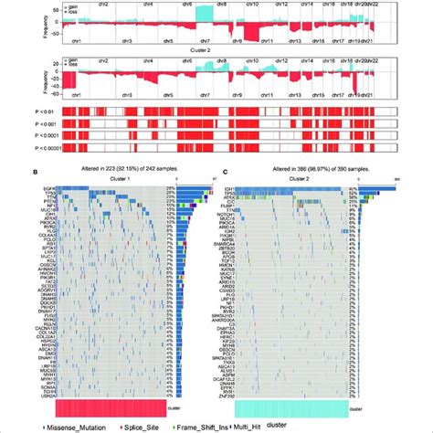 Genomic Alterations In The Two Clusters Frequency Comparison Download Scientific Diagram