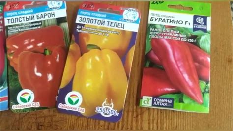 Сажаем перец. Новый способ посева на рассаду☺️ - YouTube