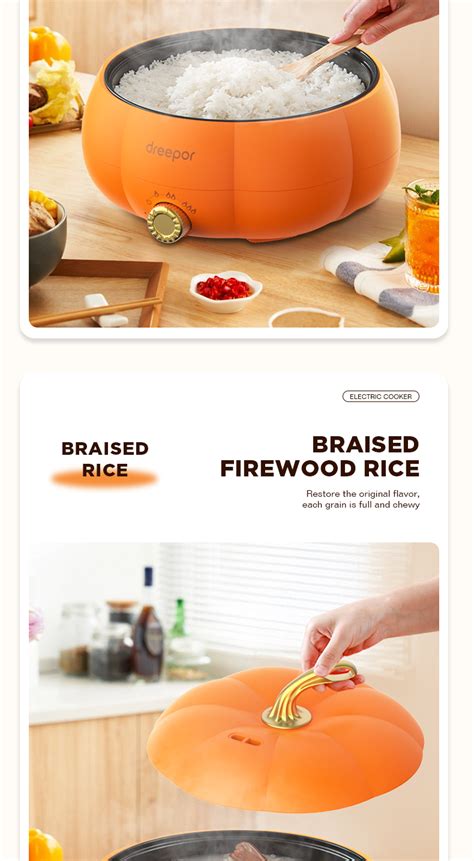 Dreepor Multi Electric Cooker Hot Pot Rice Cooker Cooker Non Stick Pan With Steamer Shopee