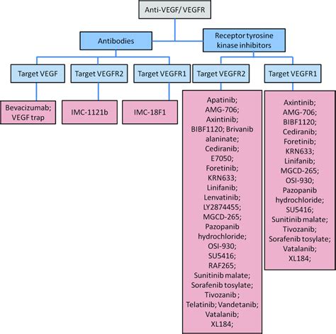 List Of Anti Angiogenic Agents Targeting Vegf Vegfr Currently In