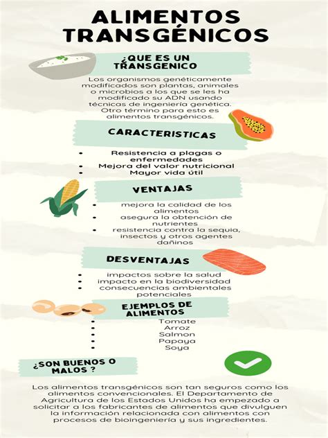 O Que Significa Alimento Transgênico - Infografía sobre alimentos transgénicos | PDF