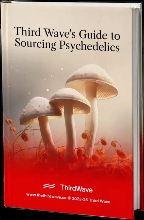 Effects Uses And How To Grow Psilocybe Ovoideocystidiata