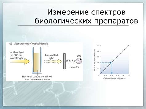 Метод УФ-спектроскопии - online presentation