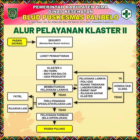 Alur Pelayanan Klaster Ibu Anak Dan Remaja Pkm Palibelo