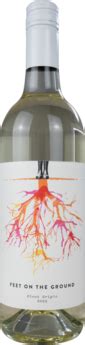Feet On The Ground Pinot Grigio Naked Wines