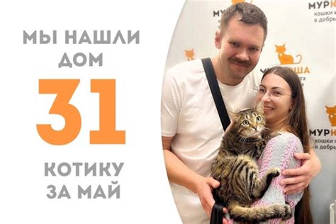 Кот Фелини обрёл новую семью! | Новости приюта для кошек Муркоша