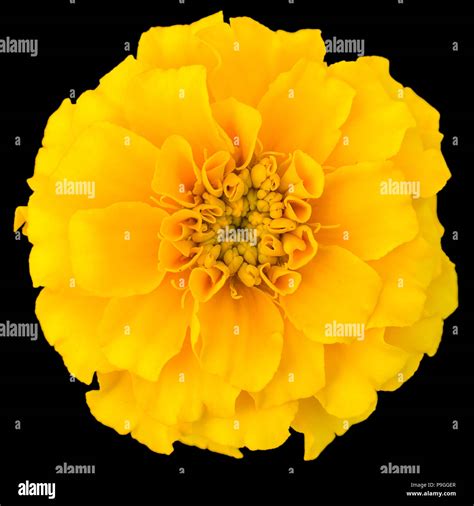 Objekte mit farben -Fotos und -Bildmaterial in hoher Auflösung – Alamy