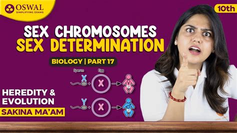 Sex Chromosomes And Sex Determination Heredity Evolution Part Class Biology