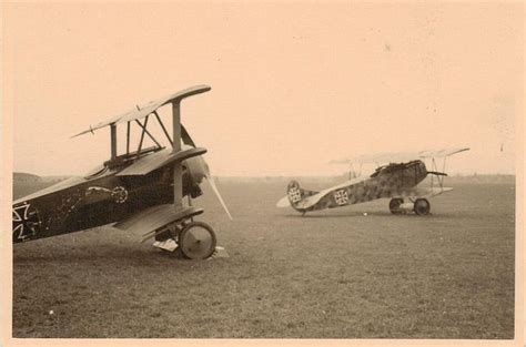 Fokker DR 1 with Fokker DVII, Germany's principal 1918 fighters, with ...